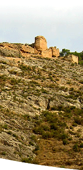 detalle de Pliego