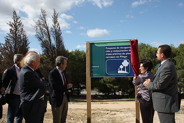 El consejero de Agricultura y Agua, Antonio Cerdá, y la alcaldesa de Pliego, Isabel Toledo, y el responsable del área social de La Caixa, presentaron el proyecto de restauración de un pinar en el casco urbano de Pliego