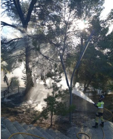 Bomberos del Consorcio apagan esta tarde el incendio de varios árboles en un jardín público de Pliego
