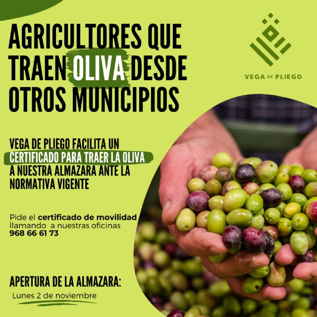 Vega de Pliego facilita certificados de movilidad a los agricultores que traen su oliva a su almazara